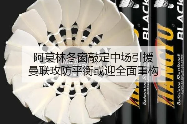 阿莫林冬窗敲定中场引援 曼联攻防平衡或迎全面重构 - xingkong.com